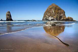 Cannon Beach-3579